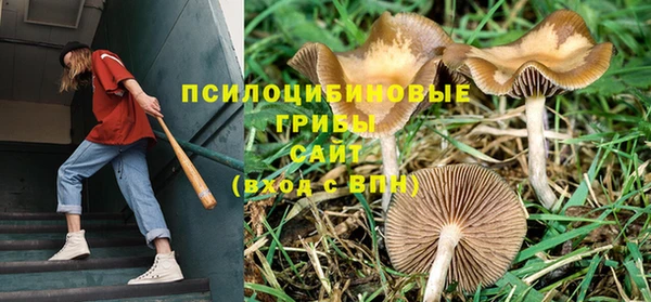 скорость Ладушкин