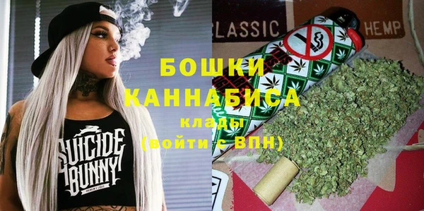 скорость Ладушкин
