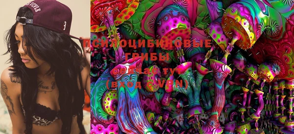 PSILOCYBIN Лабытнанги