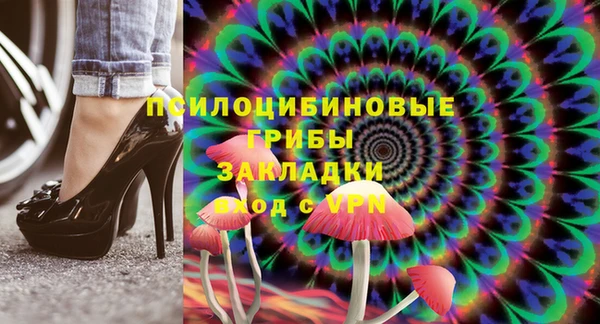 PSILOCYBIN Лабытнанги