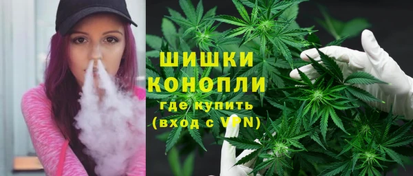 PSILOCYBIN Лабытнанги